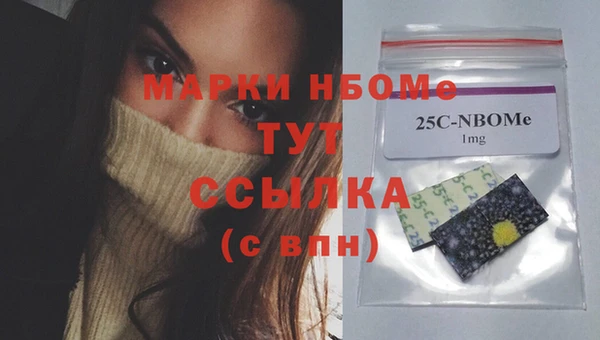 хмурый Бородино