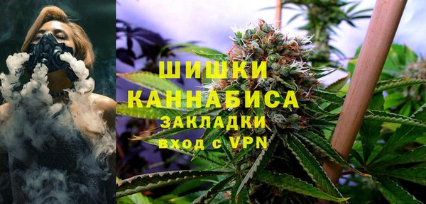 хмурый Бородино
