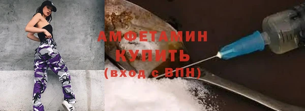 хмурый Бородино