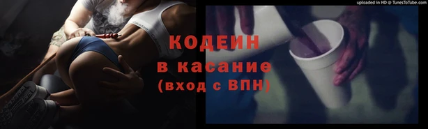 хмурый Бородино