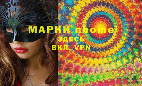 хмурый Бородино