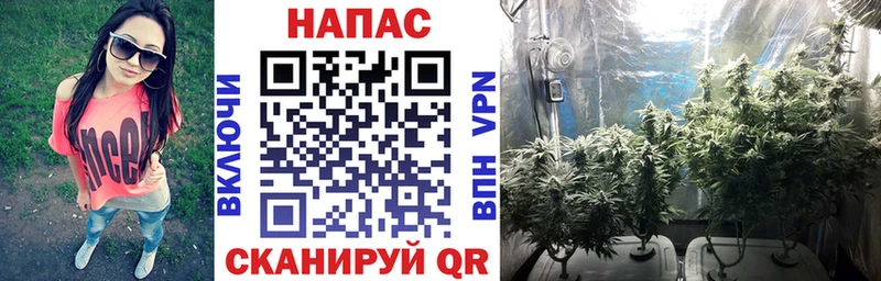 Каннабис конопля  Киреевск 